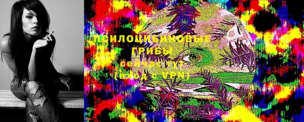 ALPHA PVP Богданович